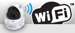 WifiΉI
